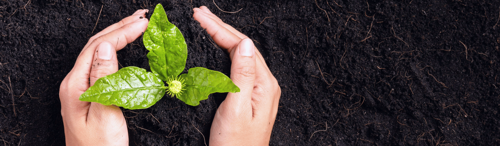 Comprehensive Environmental, Health & Safety Management System | ESG | Coforge Environment Health Safety Hero Banner