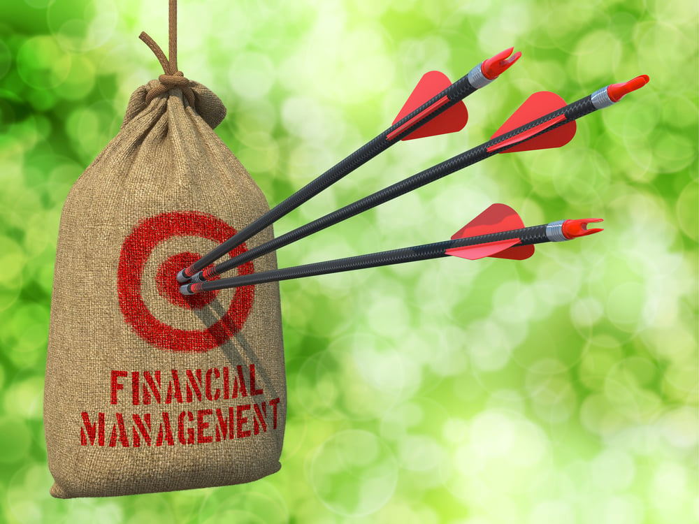 Financial Management  - Three Arrows Hit in Red Target on a Hanging Sack on Natural Bokeh Background.
