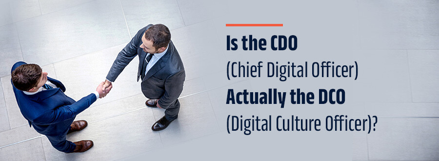 CDO blog banner