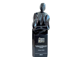 Corporate-awards