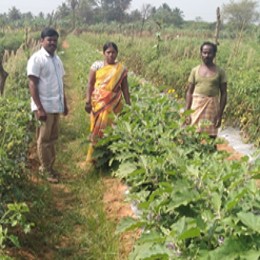 Rural Development projects