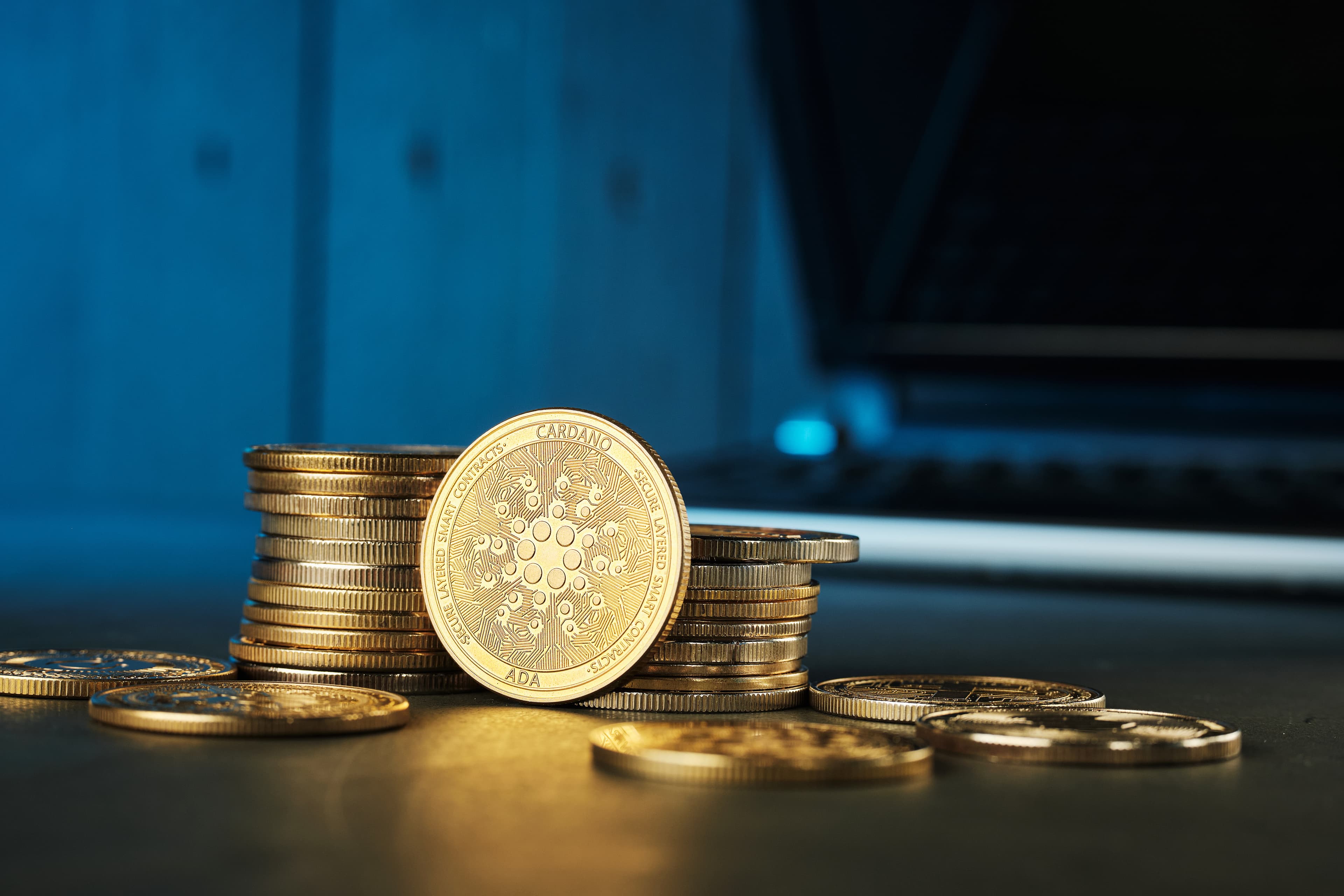 Coin