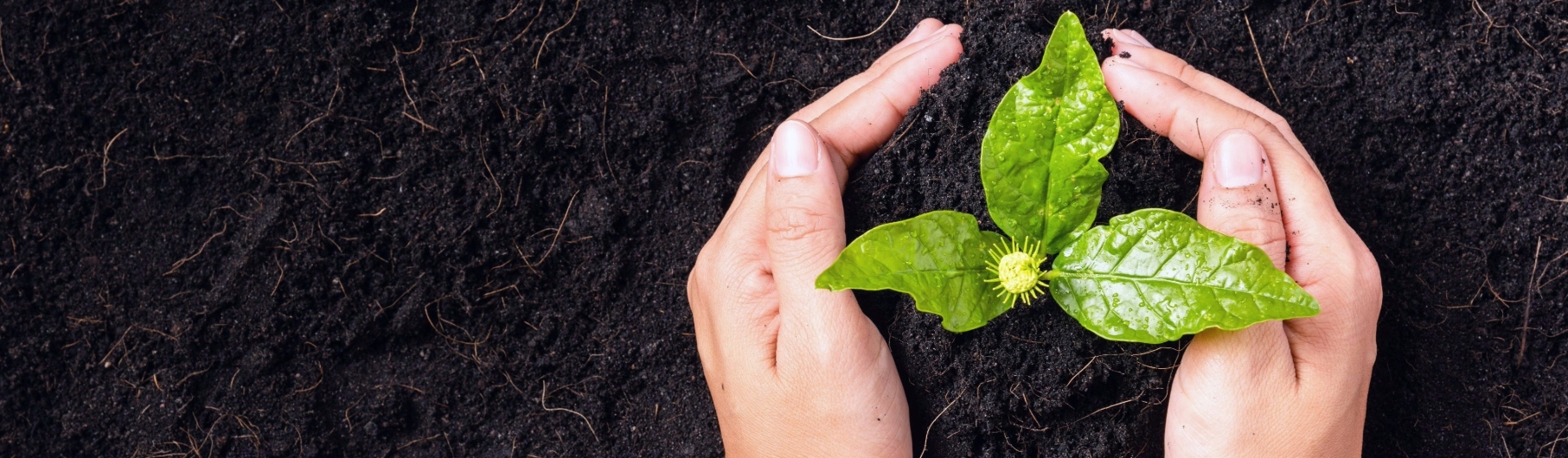 Environment Health Safety