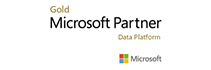 Gold microsoft partner