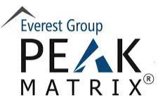 Everest Group Salesforce Services in Insurance PEAK Matrix Assessment